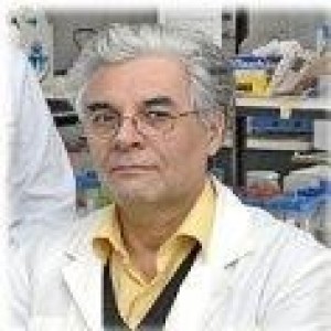 Neurology Conferences